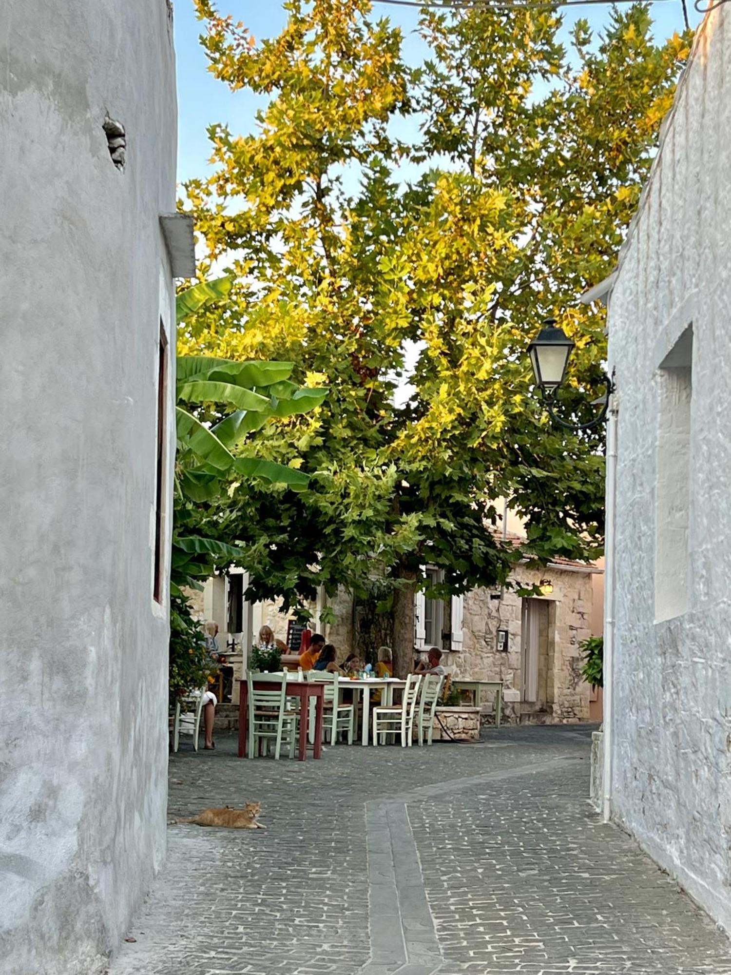 Villa Metapothia Gavalochori Crete 외부 사진